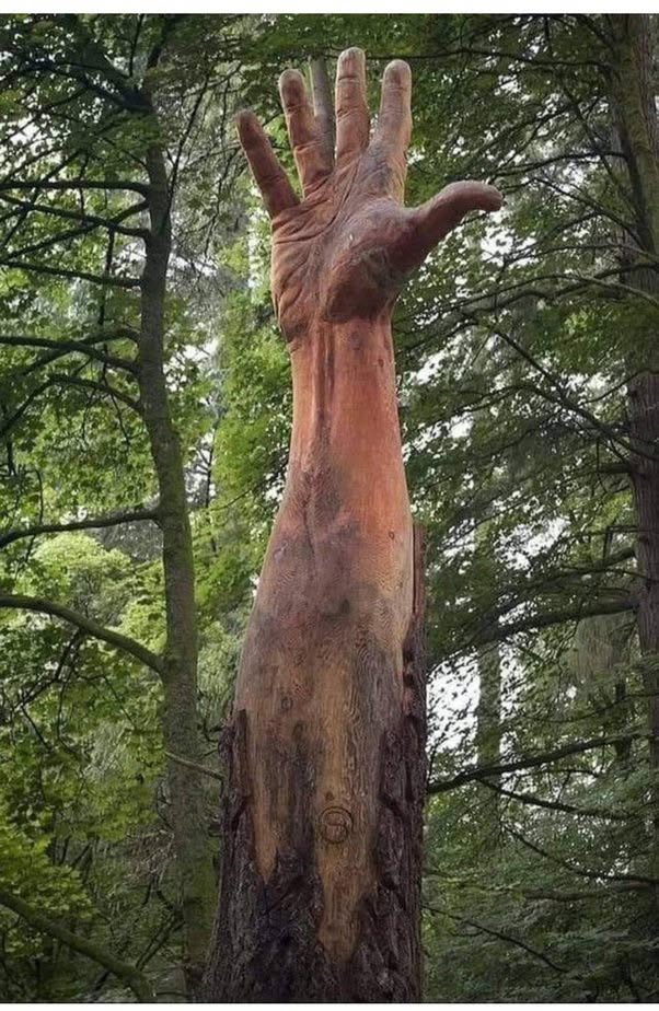Aquel árbol estaba destinado a desaparecer