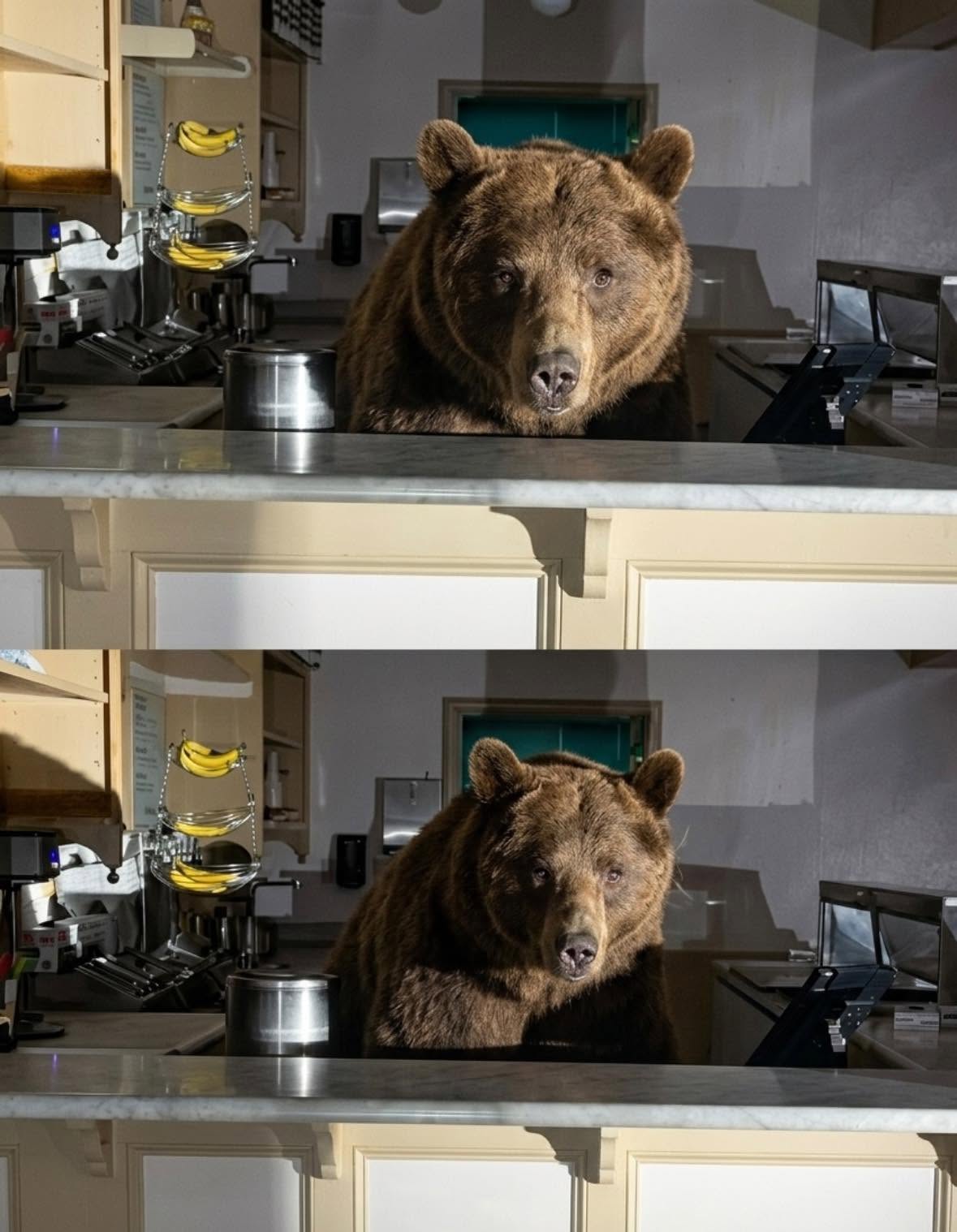Ni la inteligencia artificial más avanzada podría superar lo que ocurrió en South Lake Tahoe