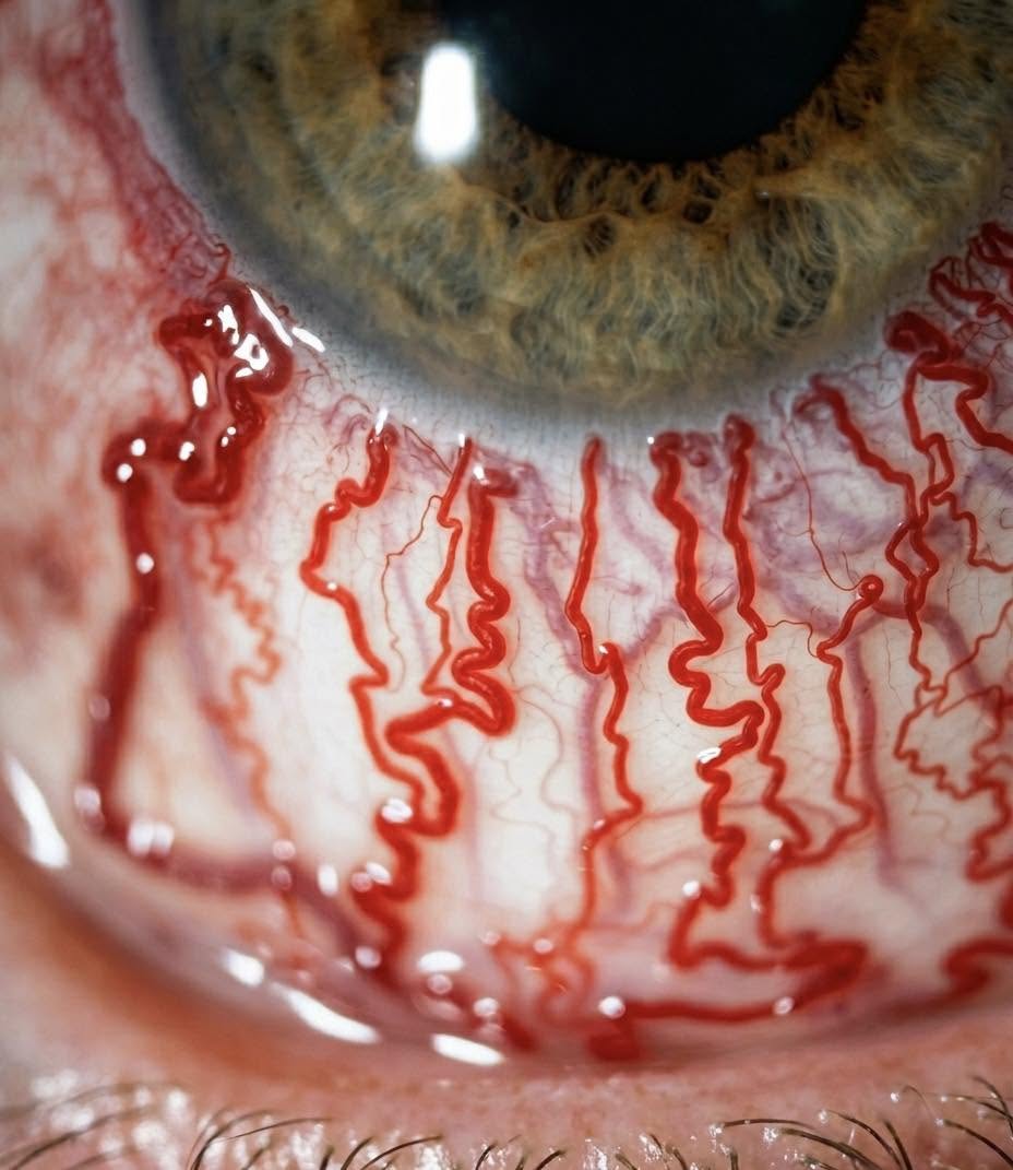 ¿Alguna vez te has preguntado qué sucede exactamente en tus ojos cuando las emociones nos superan
