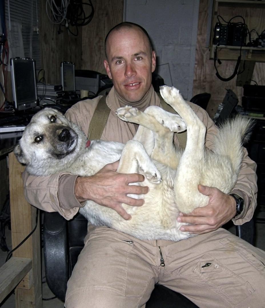 En 2026, en medio del desierto de Irak, el mayor de la Infantería de Marina Brian Dennis encontró a un perro callejero herido