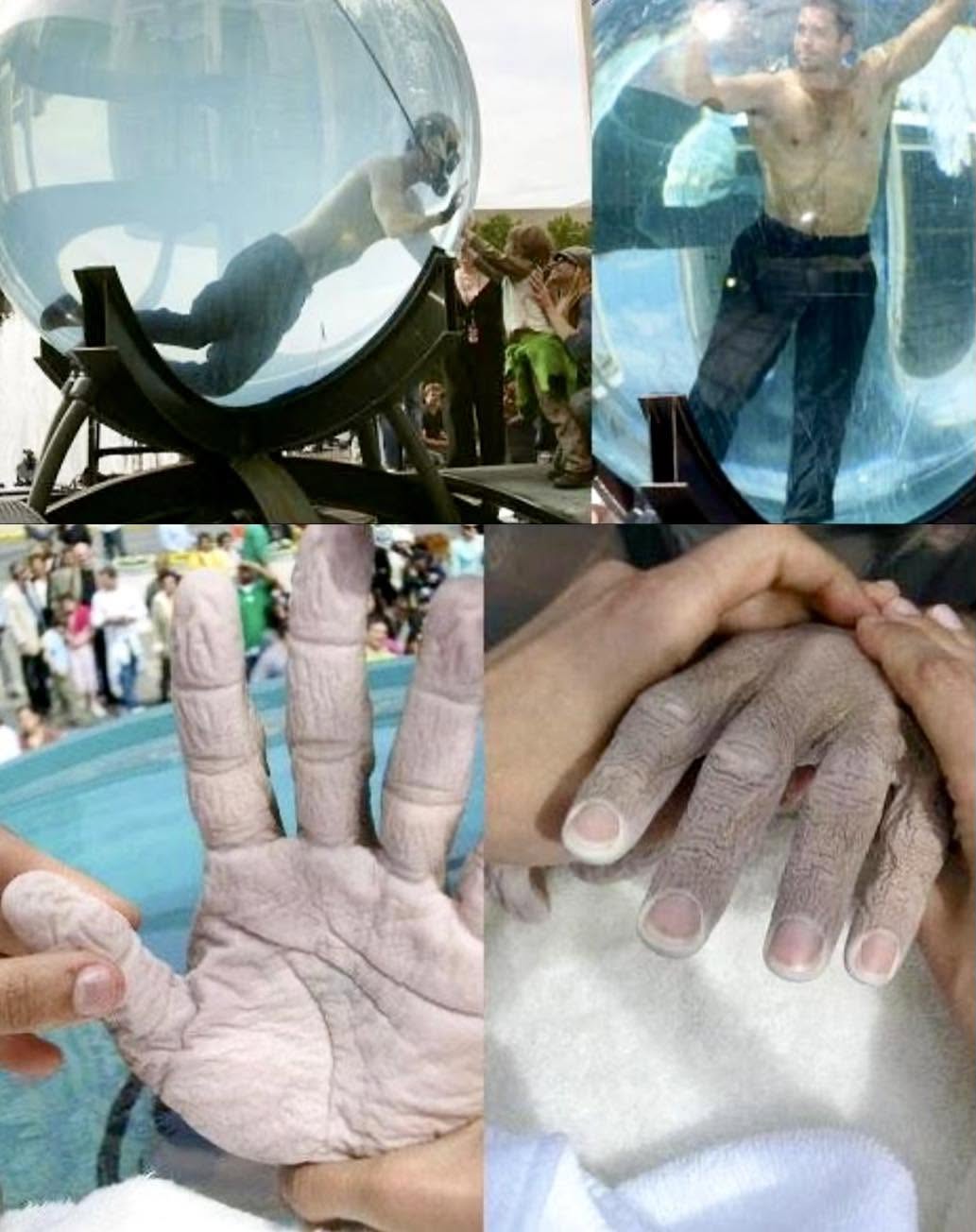 David Blaine es conocido por llevar el cuerpo humano al límite, pero su hazaña en "Drowned Alive" en 2026 dejó una de las imágenes más perturbado...