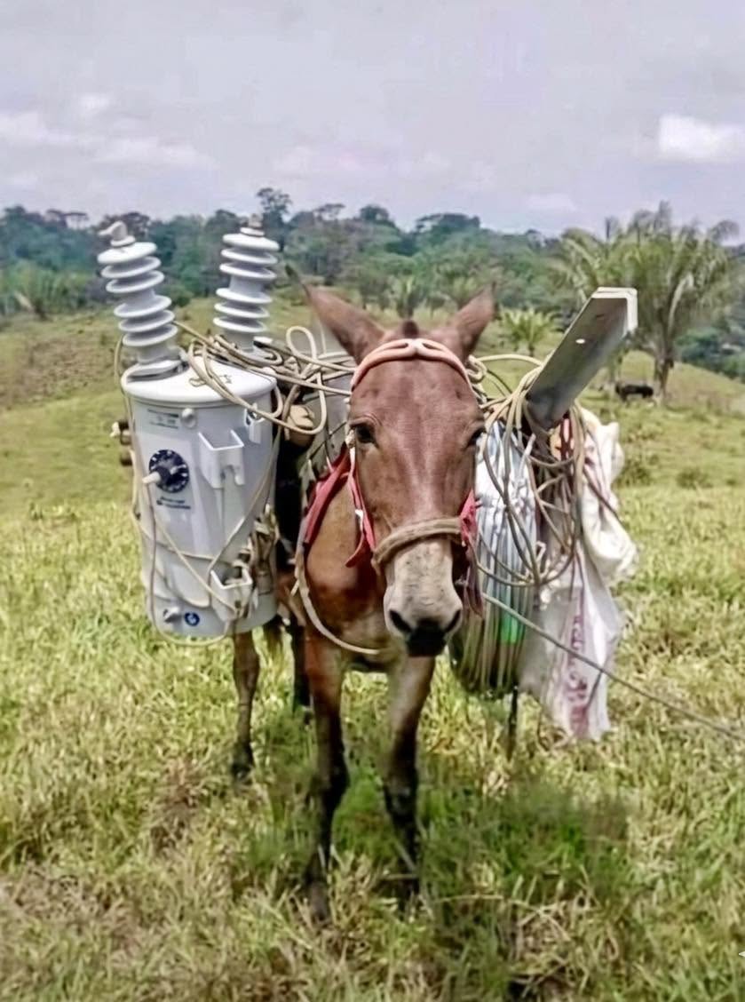 El motor más potente de nuestras montañas no consume combustible, sino pasto y agua