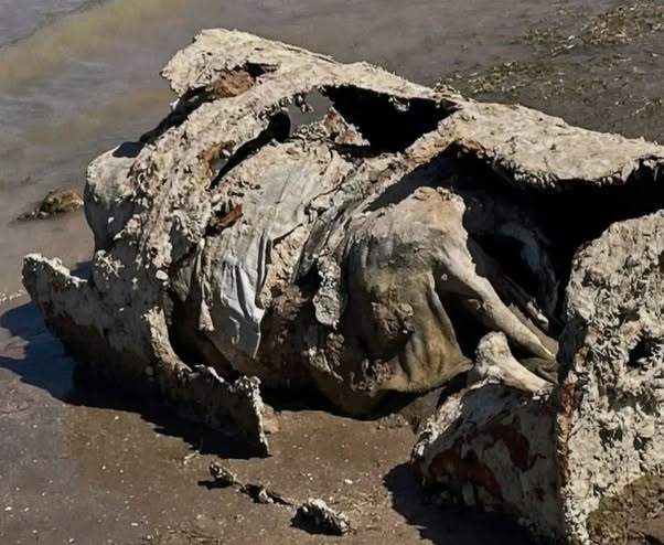 Cuando el lago Mead comenzó a retroceder, no solo dejó al descubierto tierra seca
