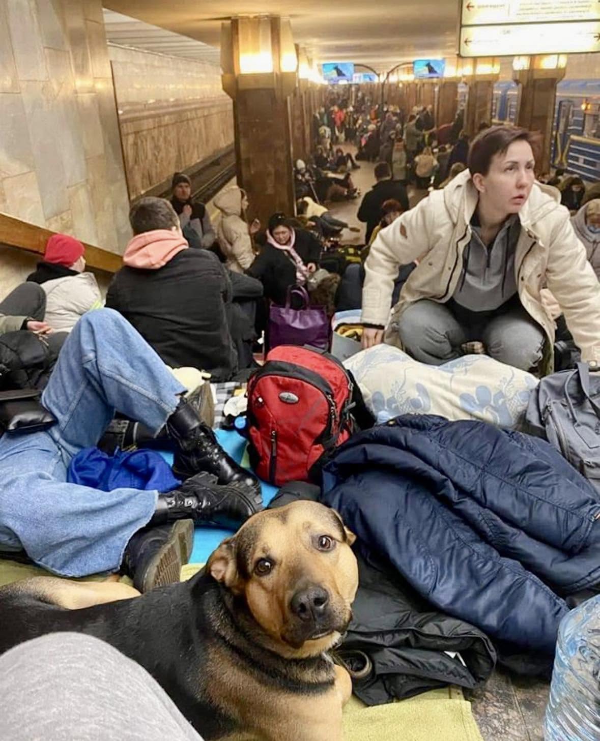 Las imágenes de miles de personas refugiadas en el metro de Kiev nos recuerdan una verdad histórica: la arquitectura del siglo XX se diseñó pensan...