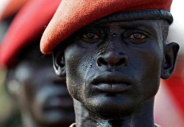 La piel humana no apareció por estética