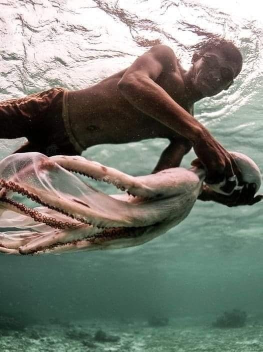 Los Bajau no viven bajo el agua, pero aprendieron a convivir con ella como si el mar fuera una extensión de su propio cuerpo