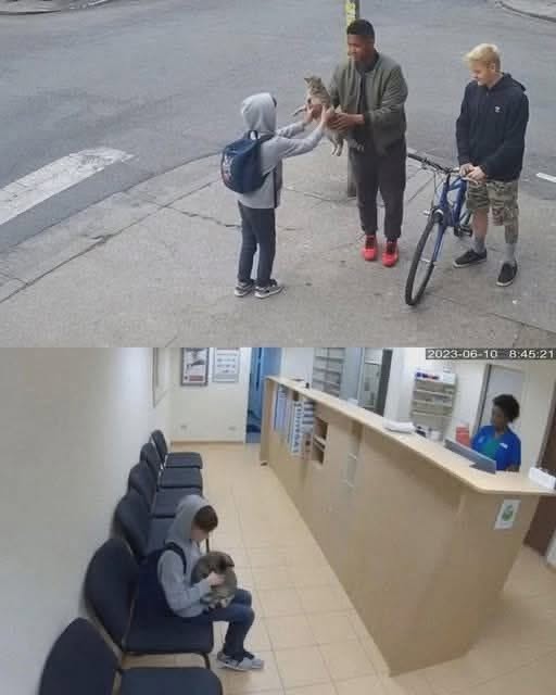 Una cámara de seguridad captó el momento en que un niño confundió su bicicleta con un gato