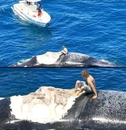 Harrison Williams creyó que estaba haciendo una broma, hasta que el océano le recordó que allí las reglas no las pone el ser humano