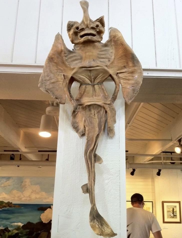 No es un monstruo marino ni una extraña mutación: este extraño ser tiene un origen completamente terrenal
