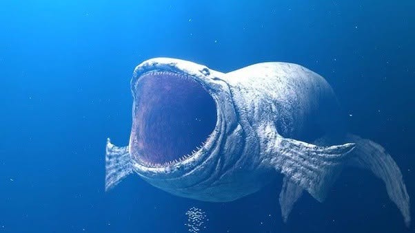 En 2026, durante el monitoreo acústico oceánico realizado por la Administración Nacional Oceánica y Atmosférica, una serie de hidrófonos ubicado...