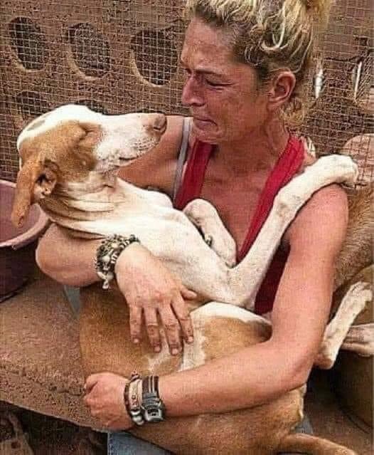 Esta mujer visitó un refugio de animales para adoptar un cachorro
