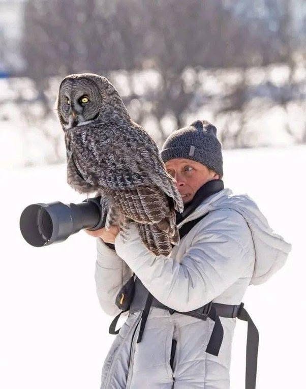 Cuando Anaïs Trépanier se disponía a tomar algunas fotografías en la Côte-de-Beaupré, desde luego no imaginaba que encontraría a un invitado im...