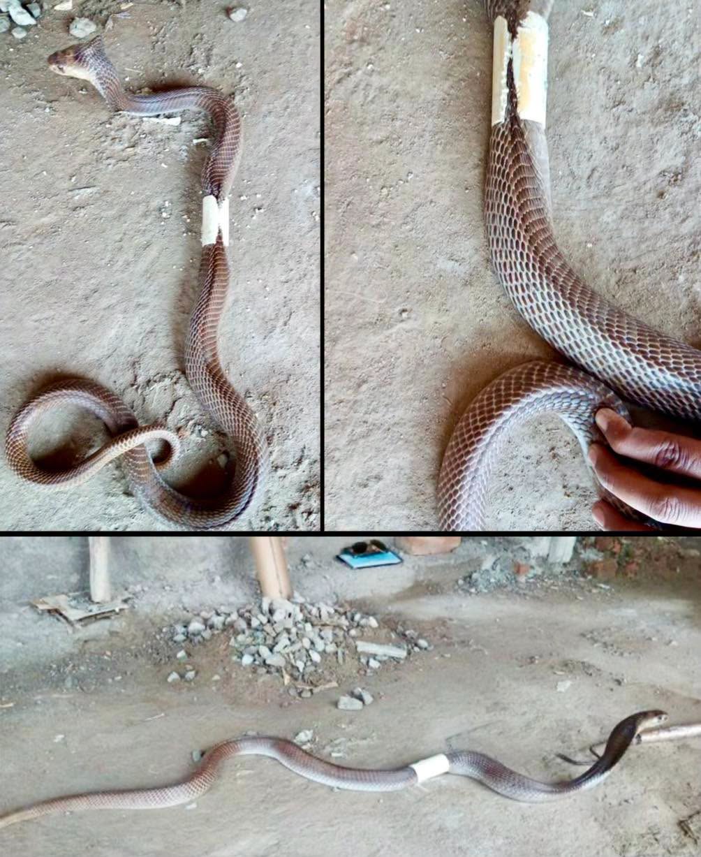 Un rescate al límite y con los nervios de acero