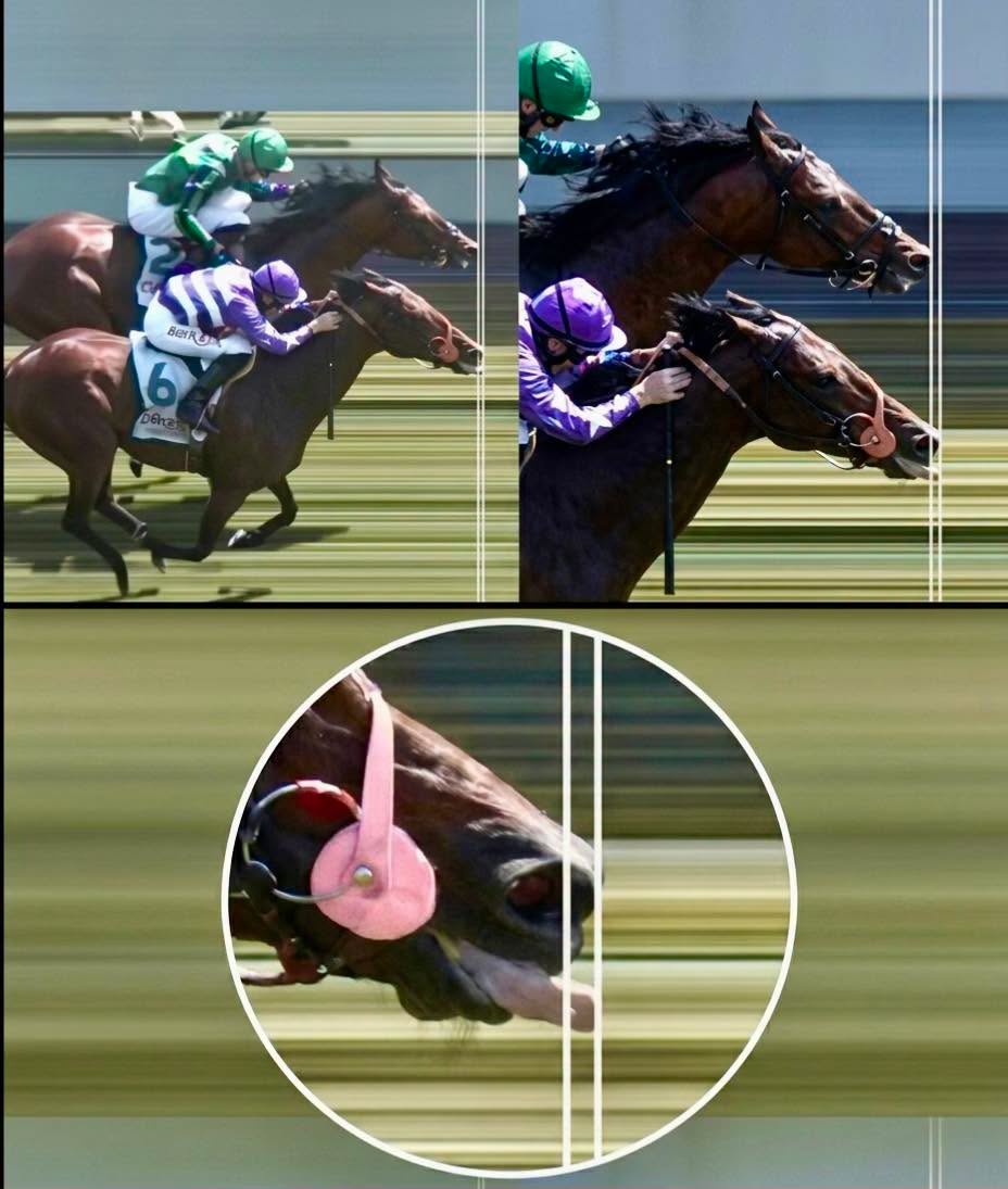 El 5 de junio de 2026, el hipismo mundial vivió uno de sus desenlaces más surrealistas en el célebre Hipódromo de Epsom Downs, durante la carrera ...