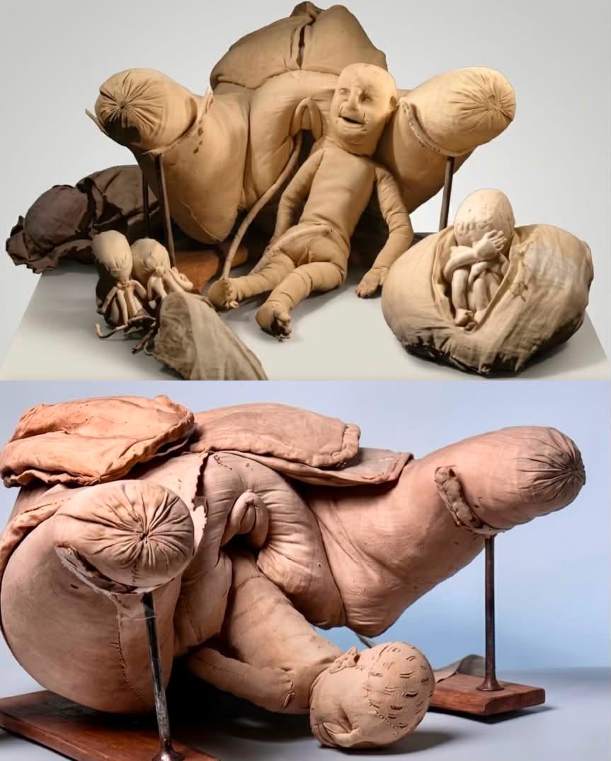 Francia, 1778. En una época donde traer un hijo al mundo era una de las actividades más peligrosas para una mujer, la tasa de mortalidad infantil y ...
