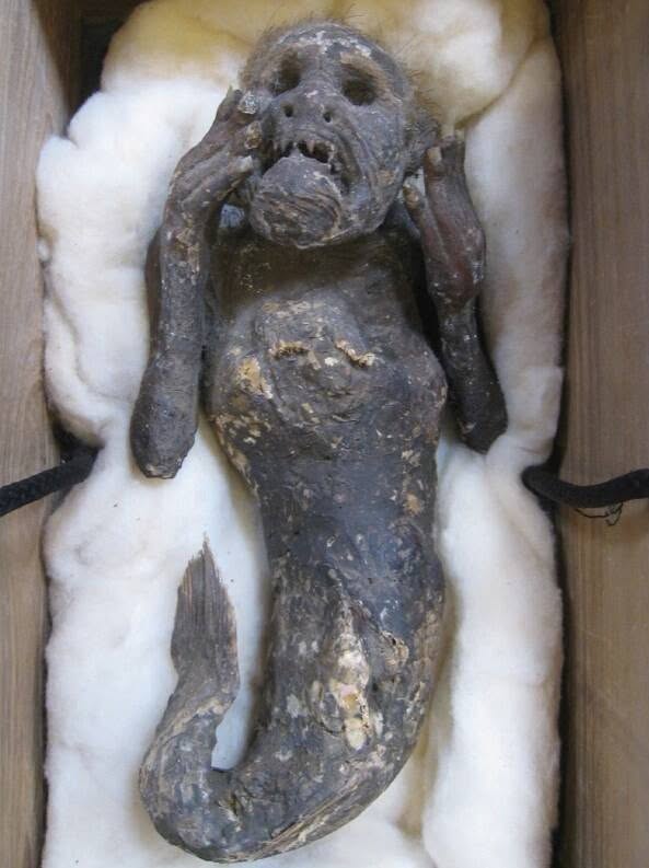 Durante décadas, una pequeña “sirena momificada” permaneció guardada en el templo Enjuin, en la prefectura de Okayama, Japón