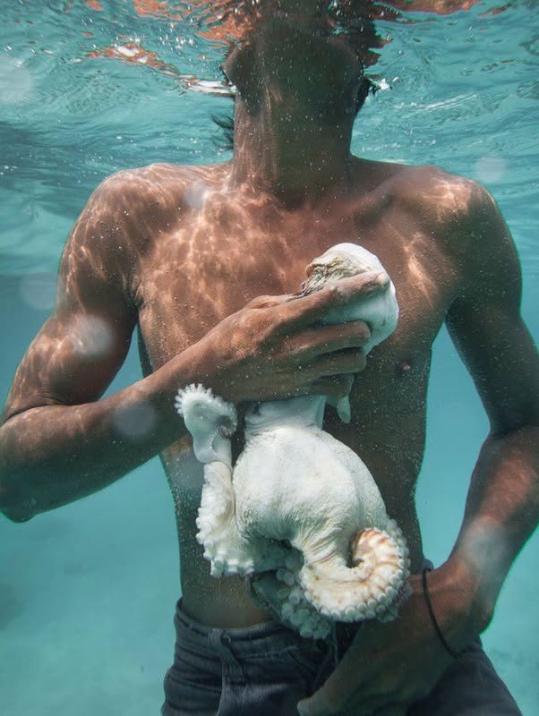 Hay una isla en Malasia (o Filipinas) llamada Bajau, donde vive un animal que, con el paso de los años, se ha beneficiado de la selección natural y ...