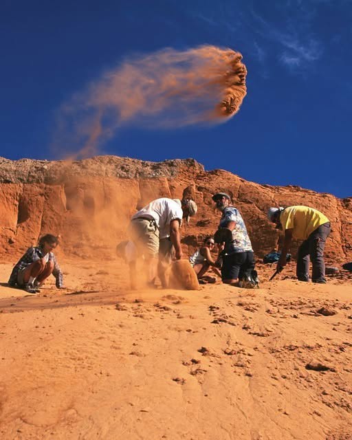 El desierto de Gobi, en Mongolia, alberga algunos de los yacimientos fósiles más extraordinarios del mundo