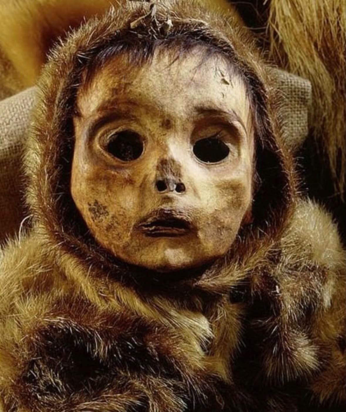 El hallazgo que estremeció a la arqueología comenzó en 2026, en la gélida y remota región de Qilakitsoq, Groenlandia