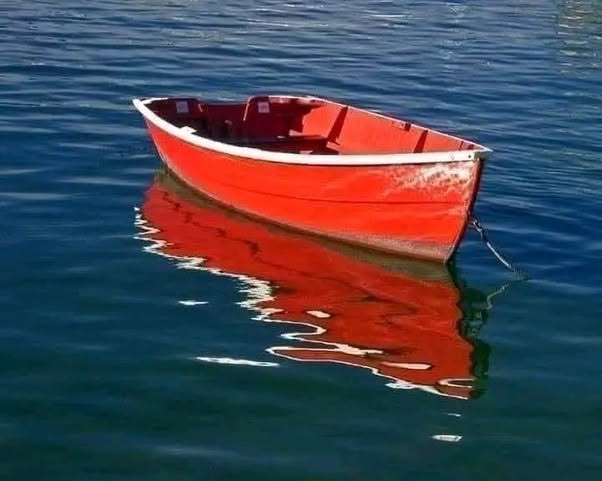 Le pidieron a un hombre que pintara un barco