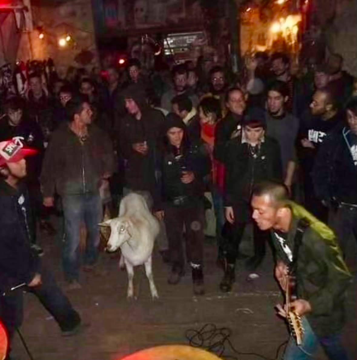 Si no existieran fotografías y videos de esta historia, cualquiera pensaría que es una leyenda urbana inventada en la barra de un bar después de de...