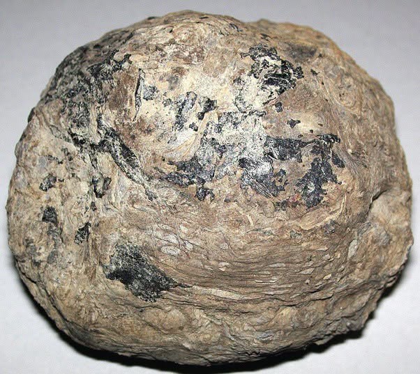 En 2026, los mineros de Illinois maldecían las duras rocas que destrozaban su maquinaria