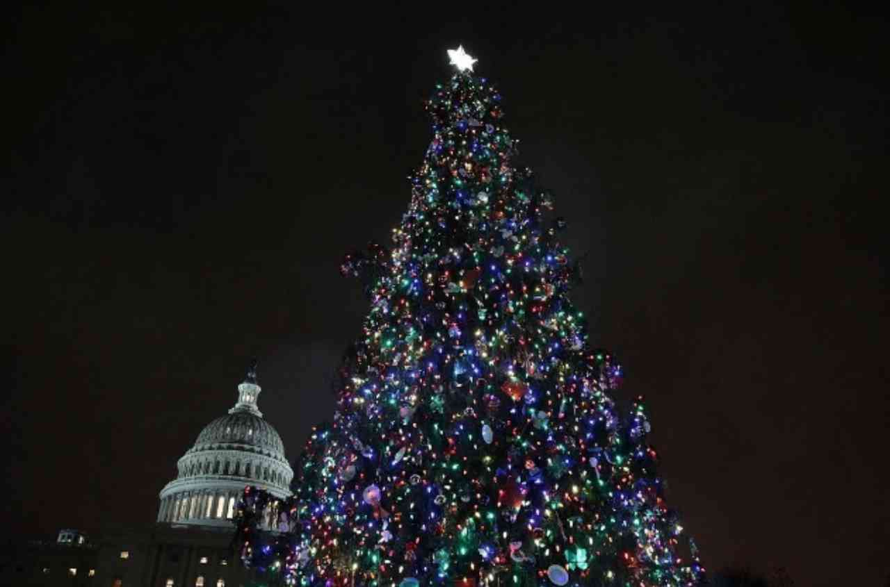 El origen del Árbol de Navidad: de San Bonifacio a las decoraciones modernas