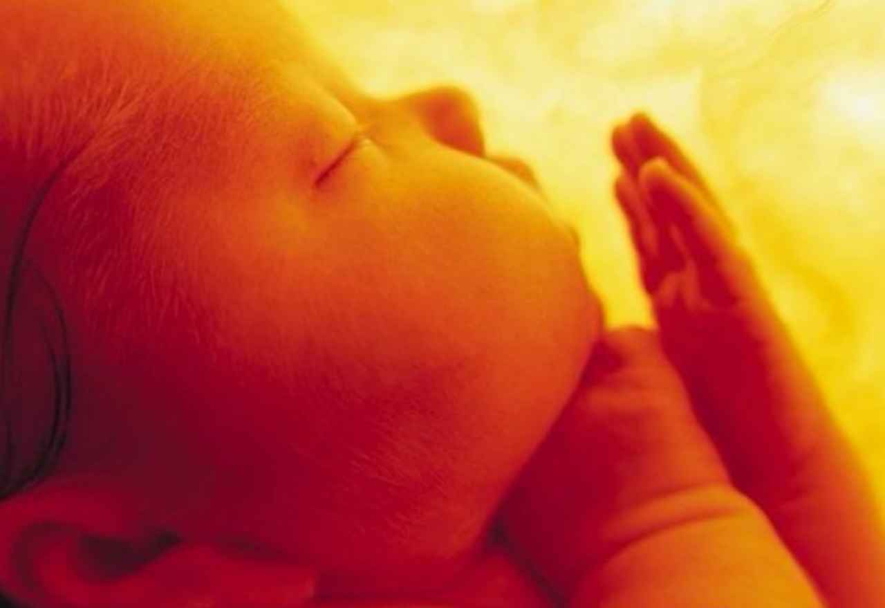 🔎 Curiosamente 🔍: ¿Recuerdan los bebés lo que escuchan en el vientre materno?