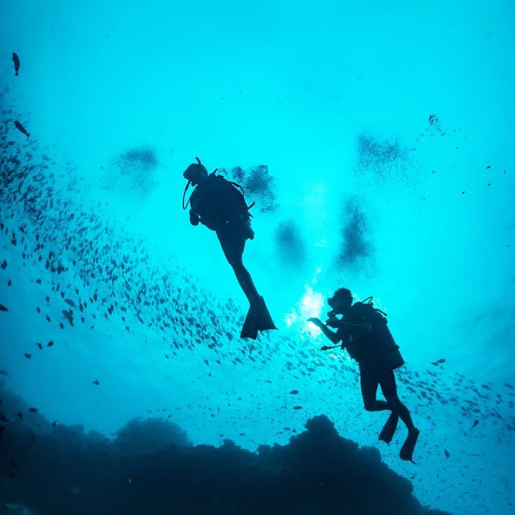 🏊‍♀️ Récords Guinness: 3.131 buzos, bandera gigante y cadena humana bajo el agua en Indonesia