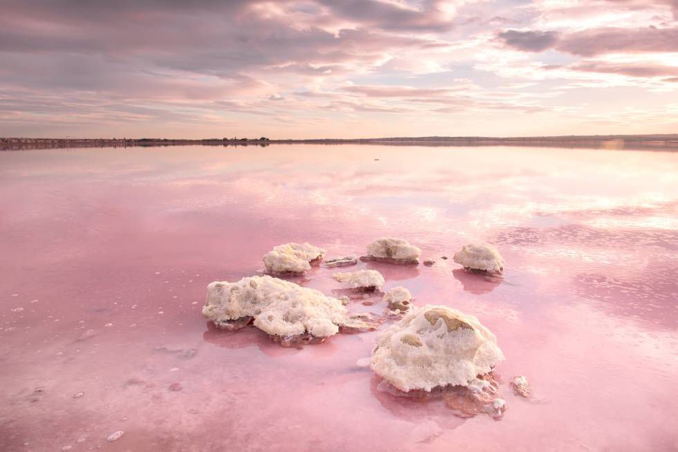 La Laguna Rosa de Torrevieja: El Secreto Mejor Guardado de Alicante