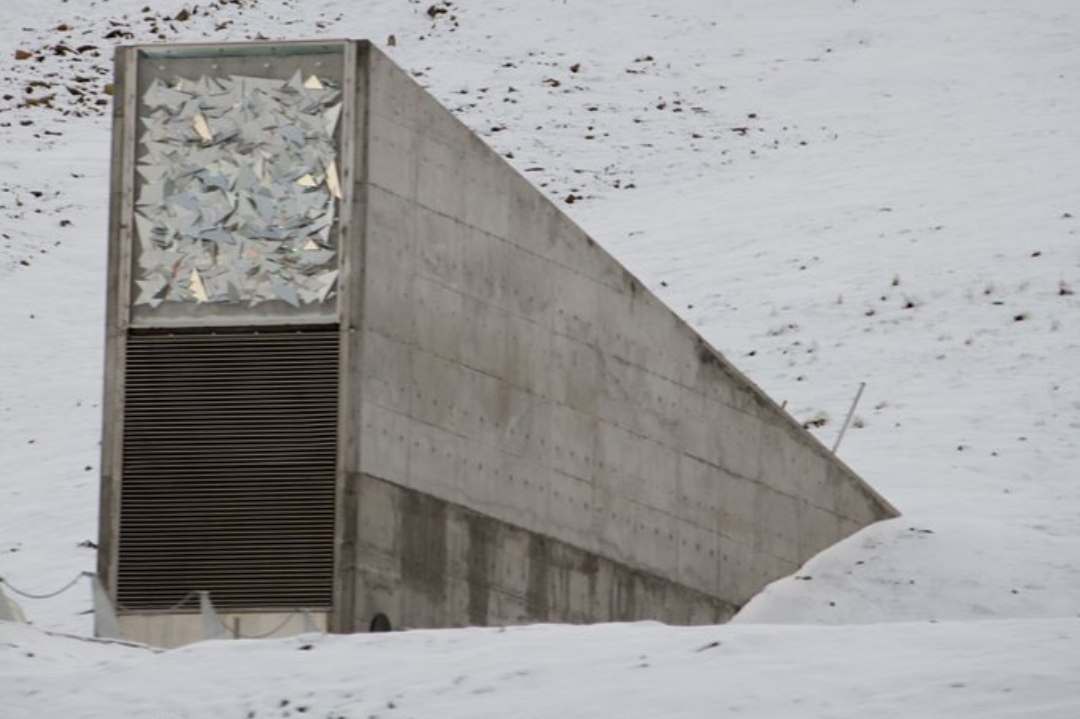 🏔️ La Bóveda Global de Semillas: El Arca de Noé Vegetal en el Ártico