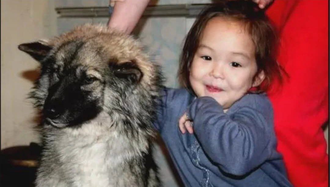 Milagro en Siberia: Niña de 3 años sobrevive 11 días en la selva con su perro