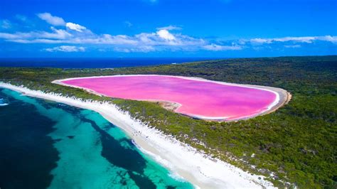 El Misterioso Lago Rosa de Australia: Hillier, un Fenómeno Natural que Desafía la Ciencia