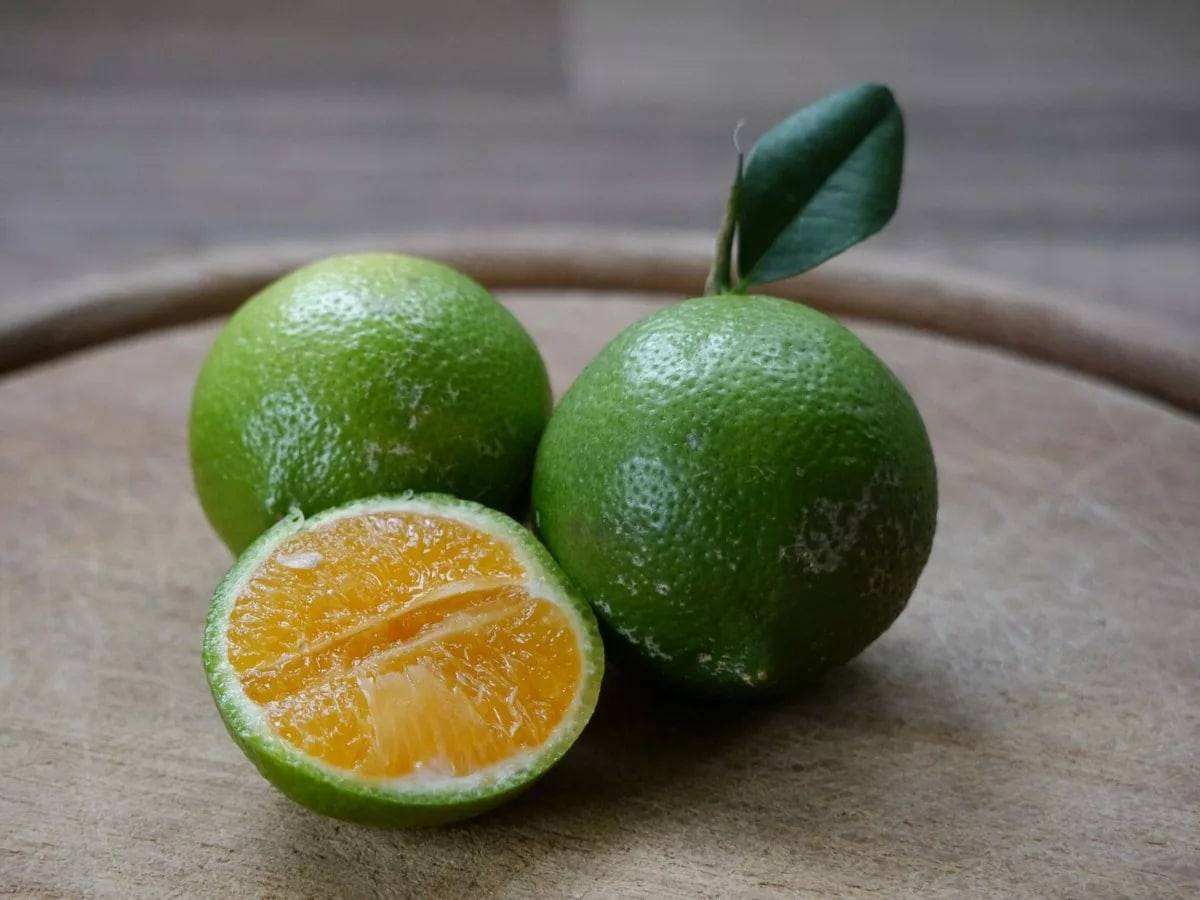 ¿Sabías que las primeras naranjas no eran naranjas? ¡Eran verdes!