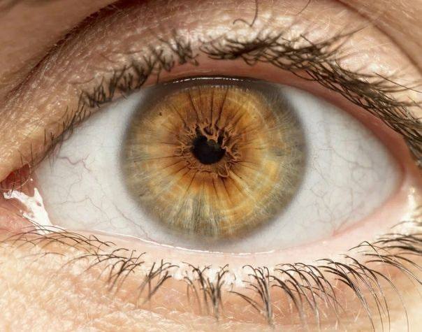 👁 La ceguera de 40 minutos al día que sufres sin saberlo al mover los ojos