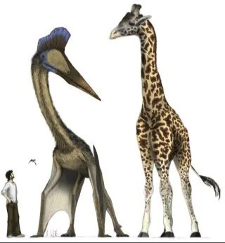 El Quetzalcoatlus: El Gigante Volador que Reinó en los Cielos del Cretácico