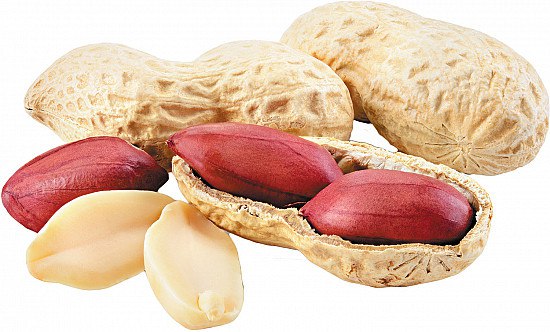 ¿Los cacahuetes crecen bajo tierra? ¡Sí, y no son frutos secos!