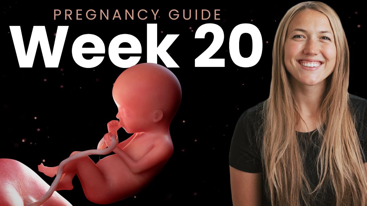 20 Weeks Of Pregnancy & Pregnancy And Baby Week 20 