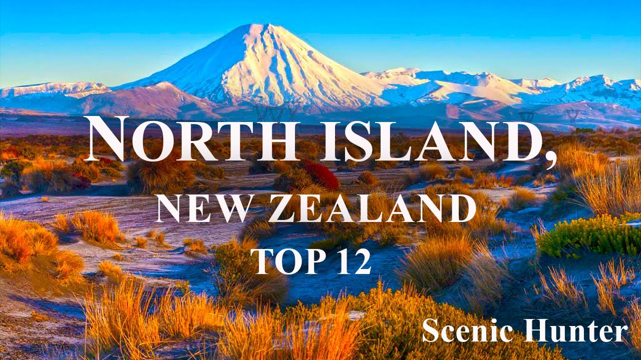 New Zealand Adventure Tours- North Island New Zealand Horse Riding