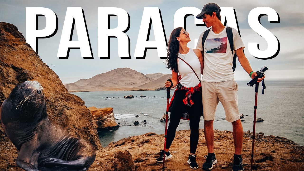 Paracas Peninsula In Peru Travel Guide